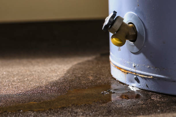 Best Commercial water damage restoration  in Rson, CA