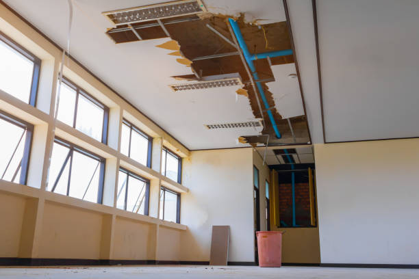 Best Water damage cleanup near me  in Rson, CA