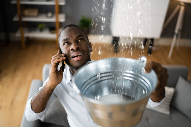 Best Water damage restoration near me  in Rson, CA