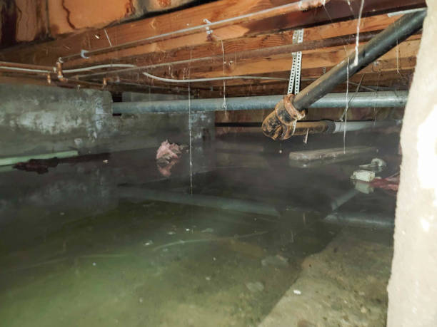 Best Water damage restoration near me  in Rson, CA
