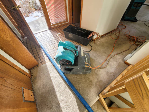 Water damage restoration experts in CA