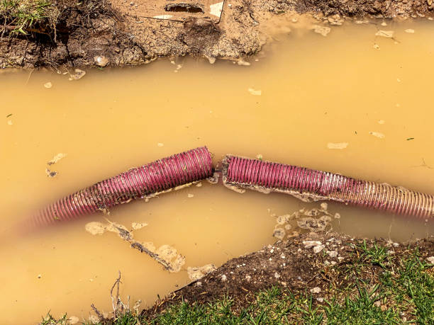 Best Water damage restoration experts  in Rson, CA